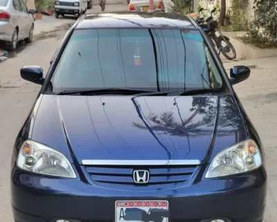 593061535-800×600-1