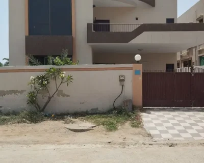 594081709-800×600-1