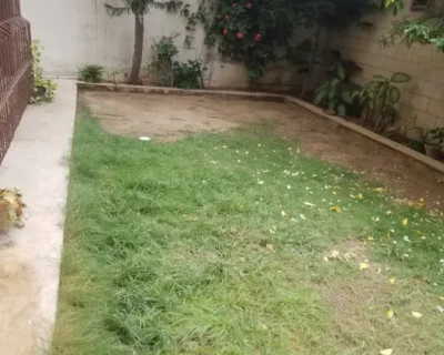 594468530-800×600-1