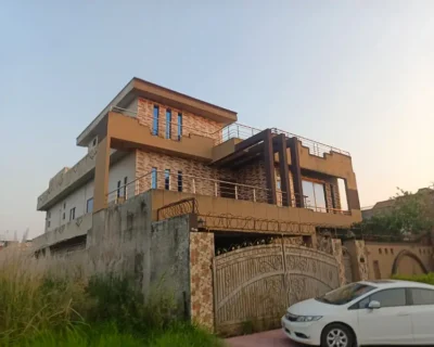 595538188-800×600-1