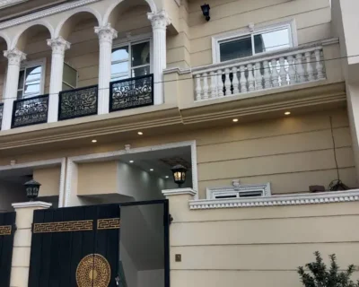 598162077-800×600-1