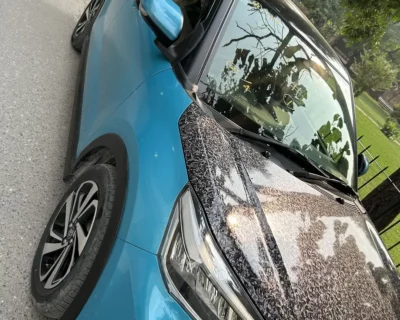 598197454-800×600-1